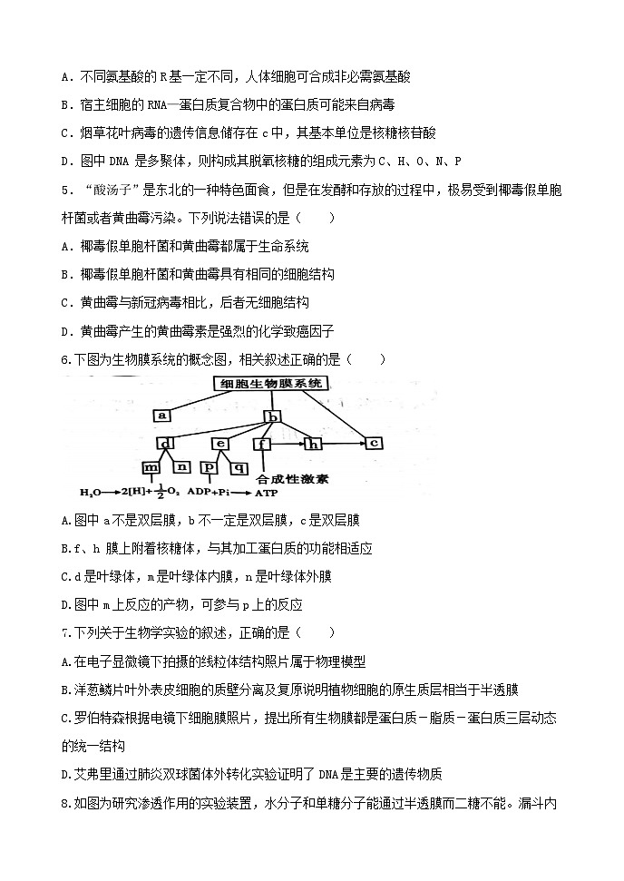 黑龙江省哈尔滨德强学校2021-2022学年高三上学期期末考试生物试题（清北班）（Word版含答案）02