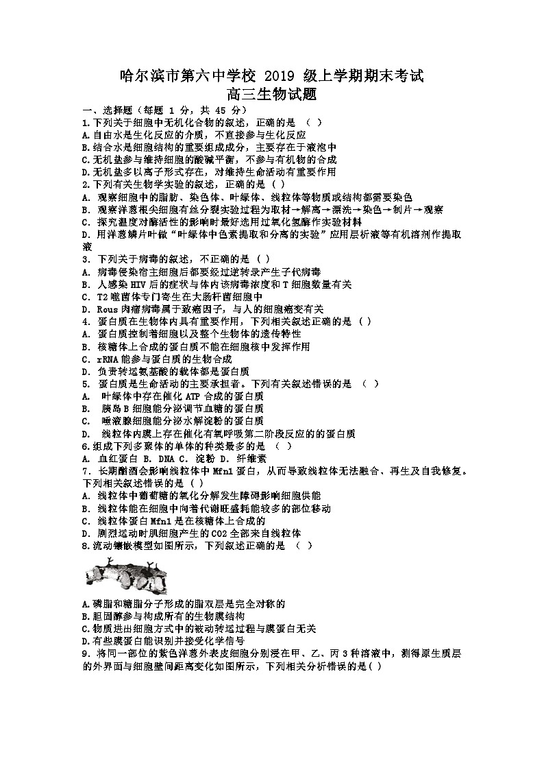 黑龙江省哈尔滨市第六中学2021-2022学年高三上学期期末考试生物试题（Word版含答案）第1页