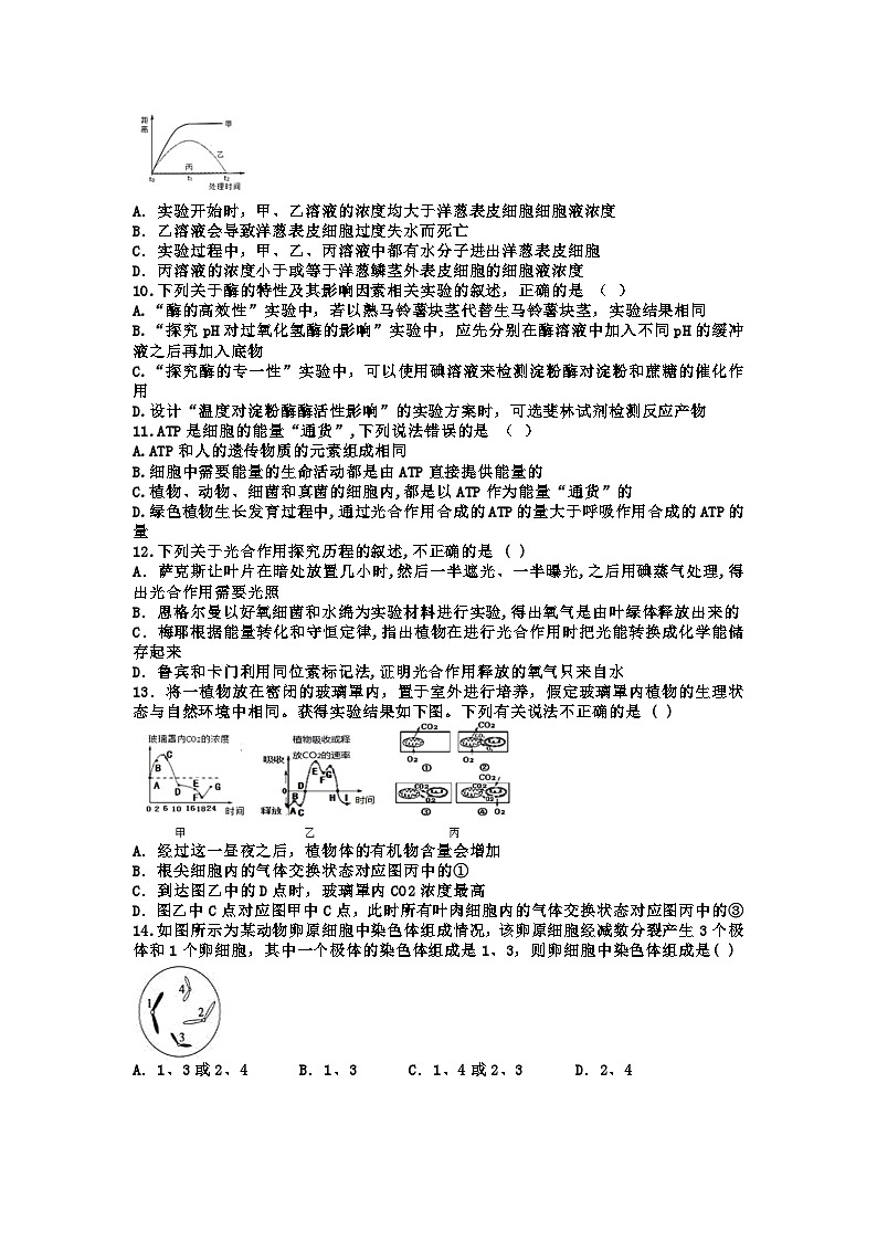 黑龙江省哈尔滨市第六中学2021-2022学年高三上学期期末考试生物试题（Word版含答案）第2页