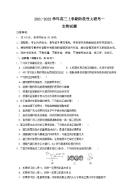 河南省2021-2022学年高三上学期阶段性大联考一生物试题（Word版含答案）