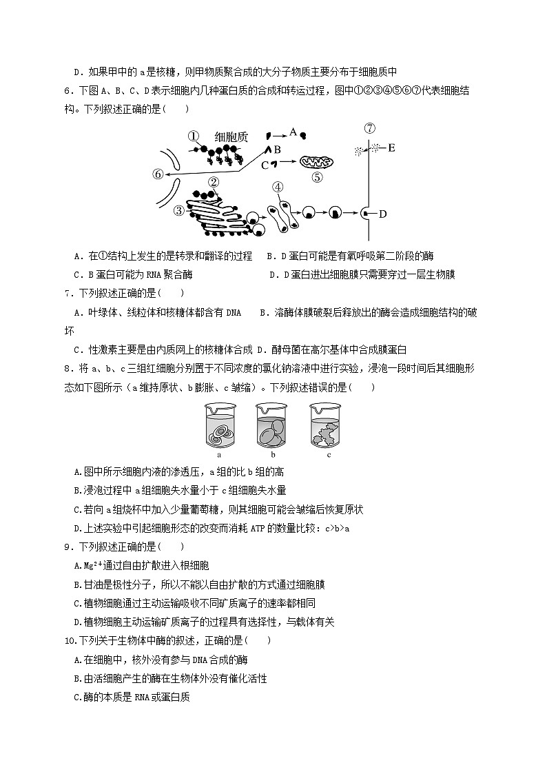 河南省2021-2022学年高三上学期阶段性大联考一生物试题（Word版含答案）02