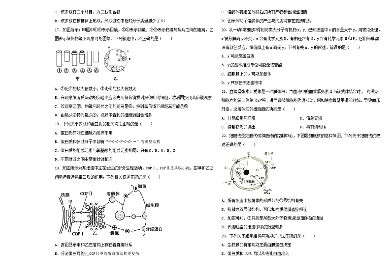 黑龙江省齐齐市拜泉县第一中学2021-2022学年高一上学期期中考试生物【试卷+答案】第3页