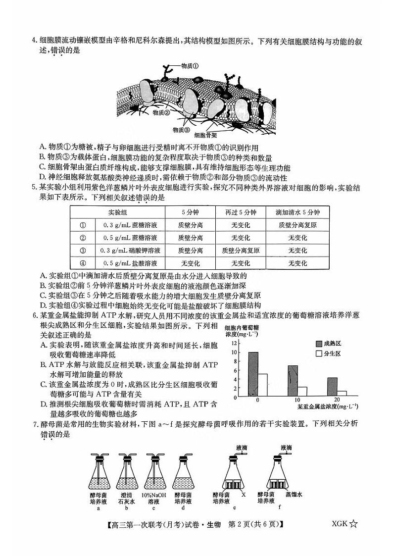 山西省部分学校2023-2024学年高三上学期第一联考（月考）生物试卷02
