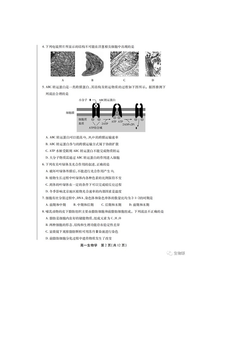 北京市丰台区2022-2023学年高一下学期期末考试生物试卷02