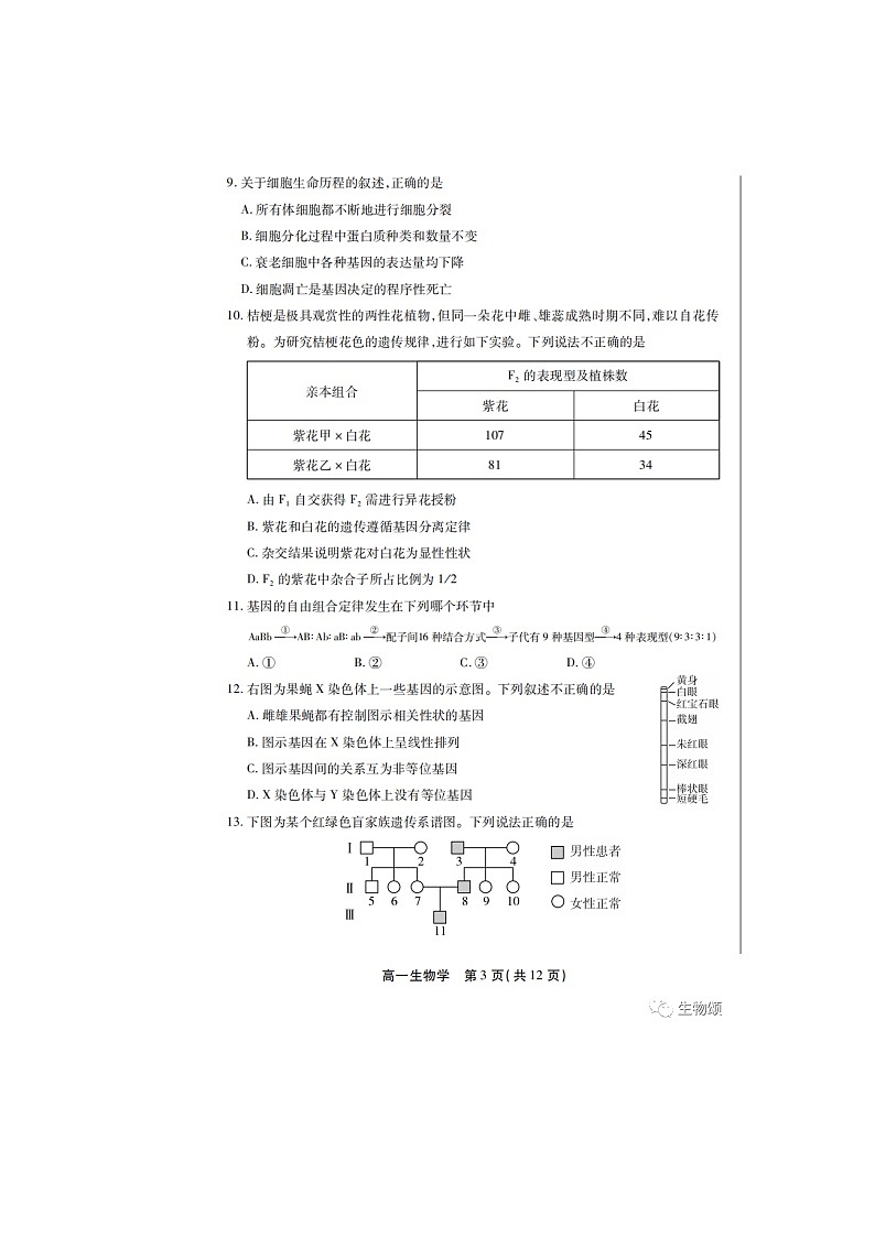 北京市丰台区2022-2023学年高一下学期期末考试生物试卷03