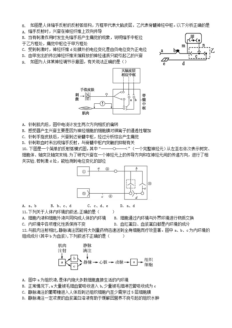 福建省泉州科技中学2021-2022学年高二上学期期中考试生物试题【试卷+答案】02