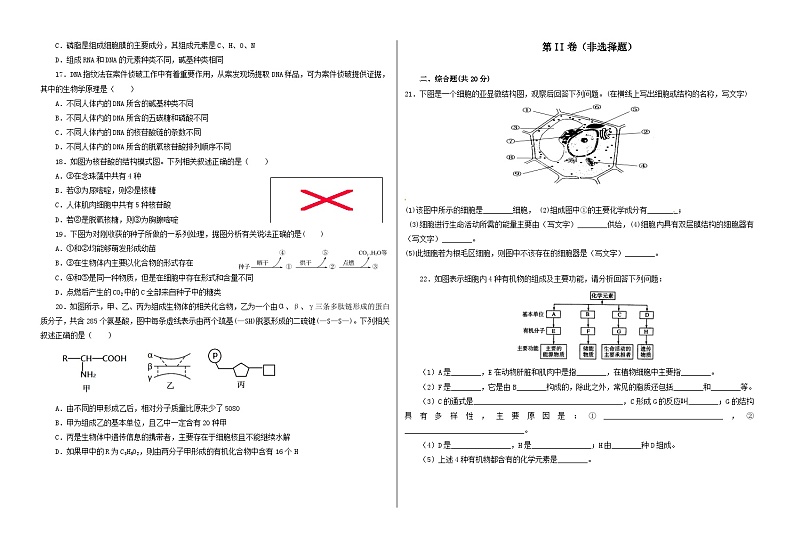 甘肃省武威第七中学2021-2022学年高一上学期期中考试生物【试卷+答案】第2页