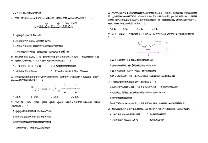 海南省北京师范大学万宁附属中学2021-2022学年高一上学期第一次月考生物【试卷+答案】第3页