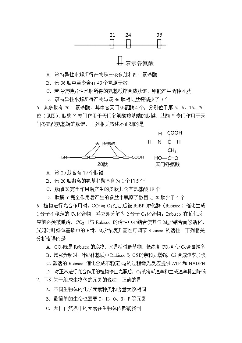 安徽省怀宁县第二中学2021-2022学年高三上学期第二次月考生物【试卷+答案】第2页