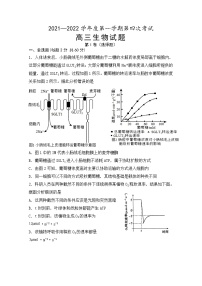 安徽省怀宁县第二中学2021-2022学年高三上学期第四次月考生物试题（Word版含答案）