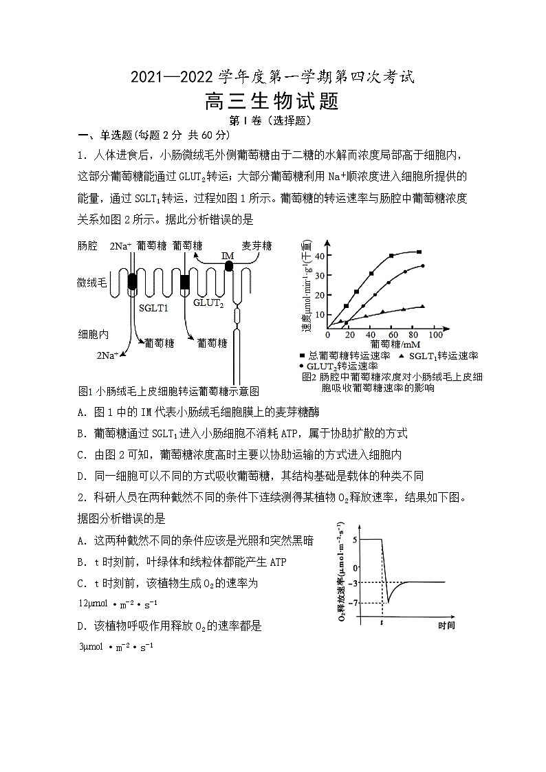 安徽省怀宁县第二中学2021-2022学年高三上学期第四次月考生物试题（Word版含答案）第1页