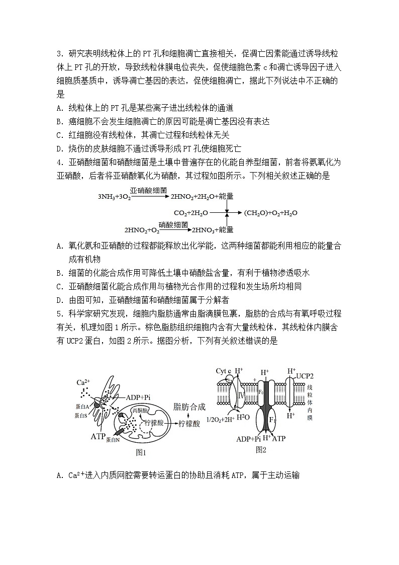 安徽省怀宁县第二中学2021-2022学年高三上学期第四次月考生物试题（Word版含答案）第2页