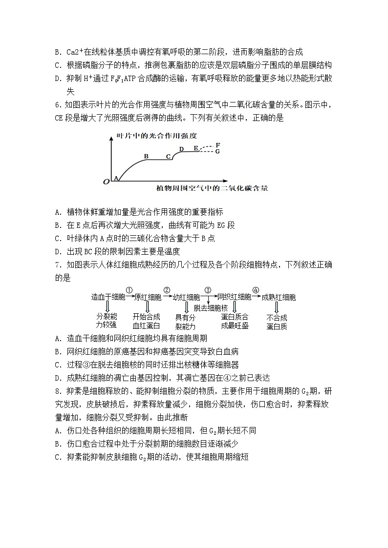 安徽省怀宁县第二中学2021-2022学年高三上学期第四次月考生物试题（Word版含答案）第3页