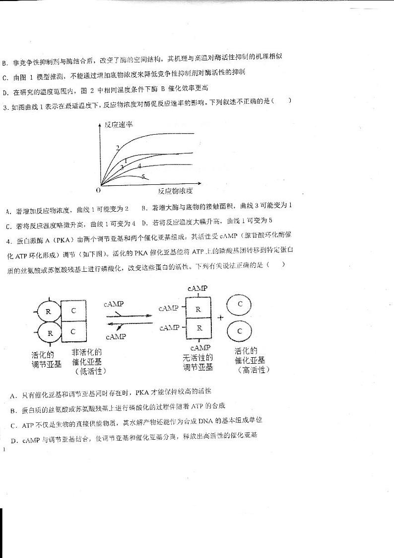 山东省德州市第一中学2023-2024学年高三上学期开学生物试题第2页