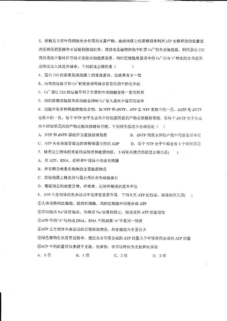 山东省德州市第一中学2023-2024学年高三上学期开学生物试题第3页