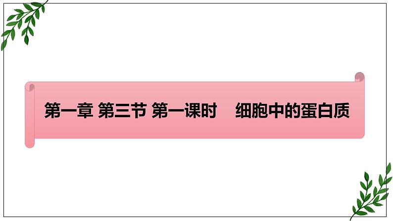 苏教版高中生物必修一 1.3.1细胞中的蛋白质和核酸第1课时课件PPT01