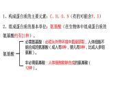 苏教版高中生物必修一 1.3.1细胞中的蛋白质和核酸第1课时课件PPT