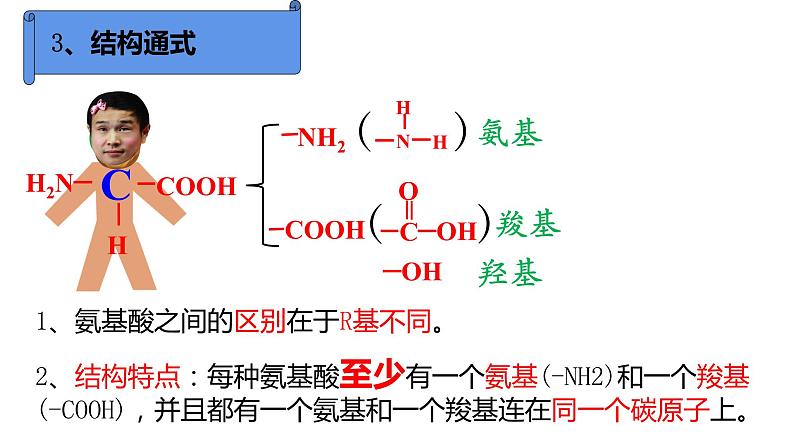 苏教版高中生物必修一 1.3.1细胞中的蛋白质和核酸第1课时课件PPT06