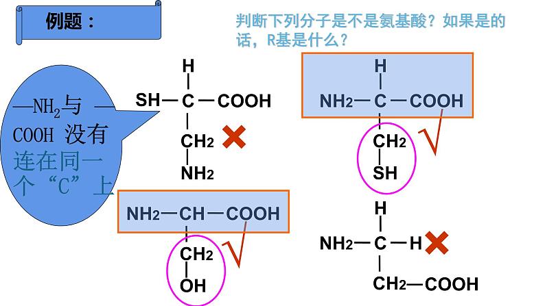 苏教版高中生物必修一 1.3.1细胞中的蛋白质和核酸第1课时课件PPT08