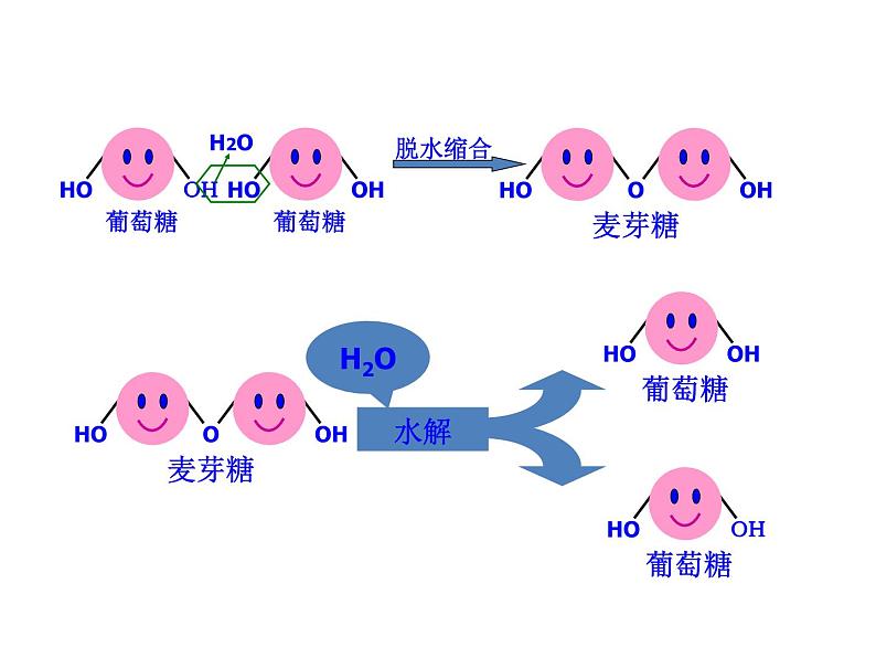 苏教版高中生物必修一1.2.1细胞中的糖类和脂质第1课时（必修一）课件PPT05