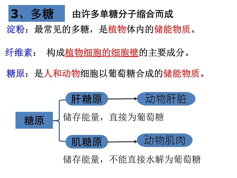 苏教版高中生物必修一1.2.1细胞中的糖类和脂质第1课时（必修一）课件PPT08