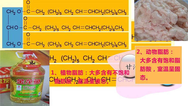 苏教版高中生物必修一1.2.2细胞中的糖类和脂质第2课时（必修一）课件PPT04