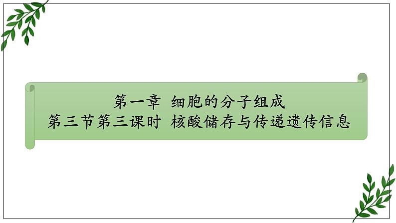 苏教版高中生物必修一1.3.2细胞中的蛋白质和核酸第2课时课件PPT第1页