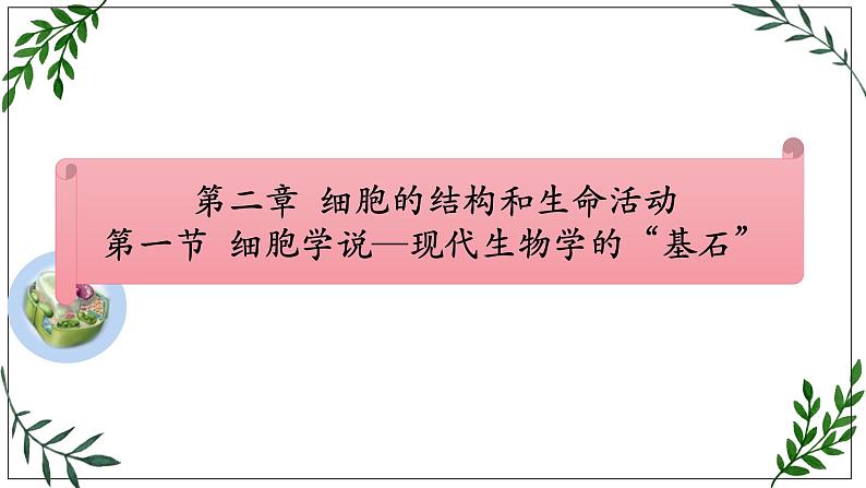 苏教版高中生物必修一 2.1—细胞学说—现代生物学的“基石”课件PPT01