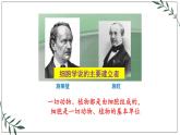 苏教版高中生物必修一 2.1—细胞学说—现代生物学的“基石”课件PPT