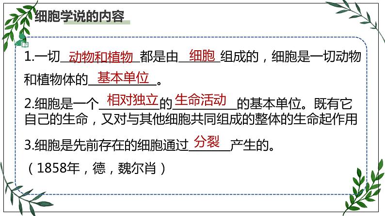 苏教版高中生物必修一 2.1—细胞学说—现代生物学的“基石”课件PPT05