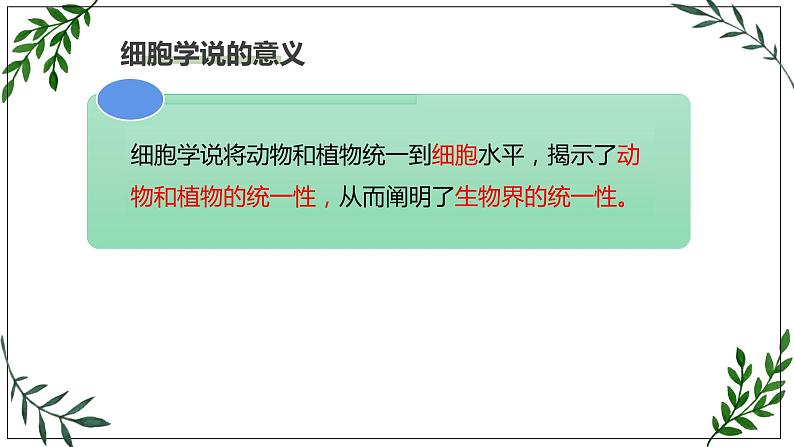 苏教版高中生物必修一 2.1—细胞学说—现代生物学的“基石”课件PPT06