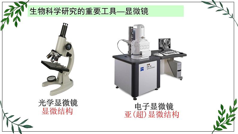 苏教版高中生物必修一 2.1—细胞学说—现代生物学的“基石”课件PPT08