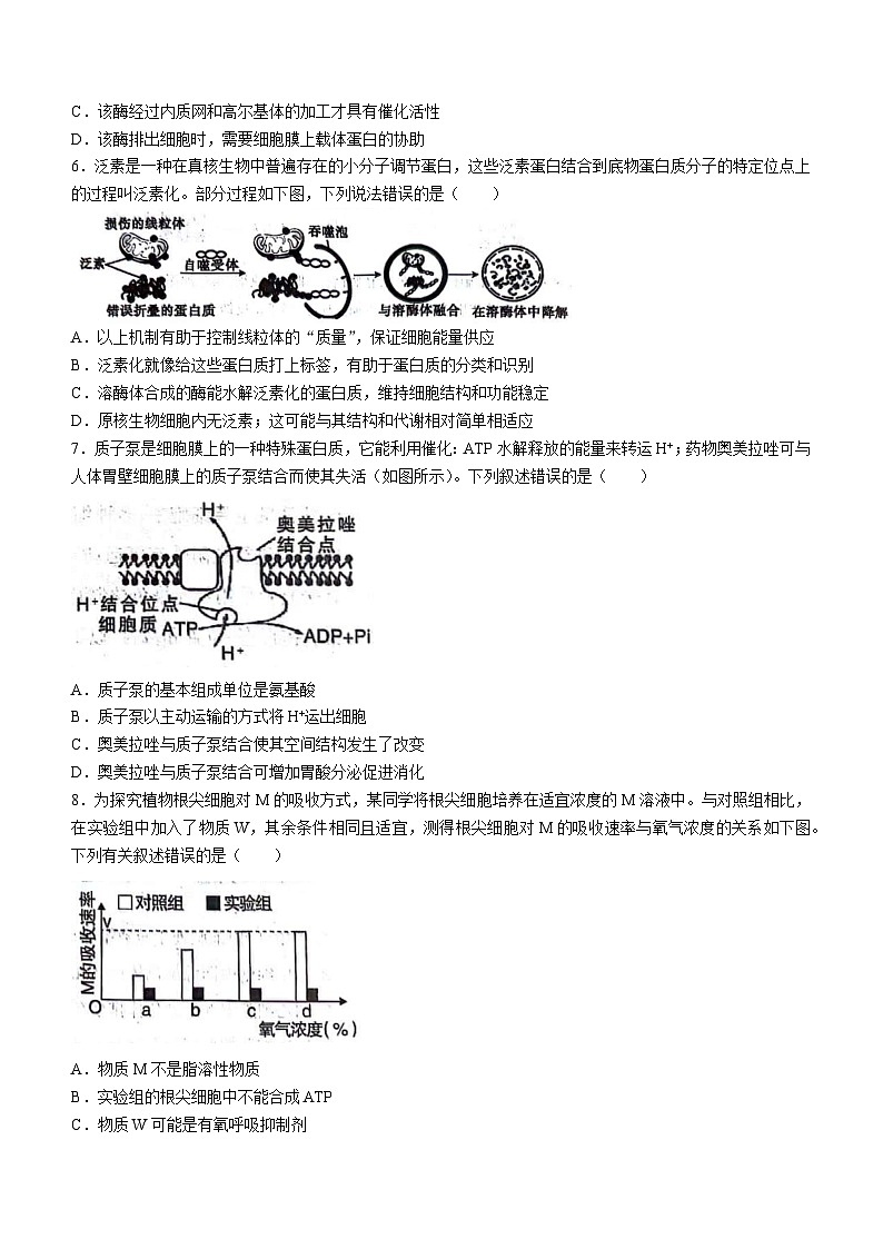 内蒙古呼和浩特市2023-2024学年高三上学期第一次质量检测生物试题02