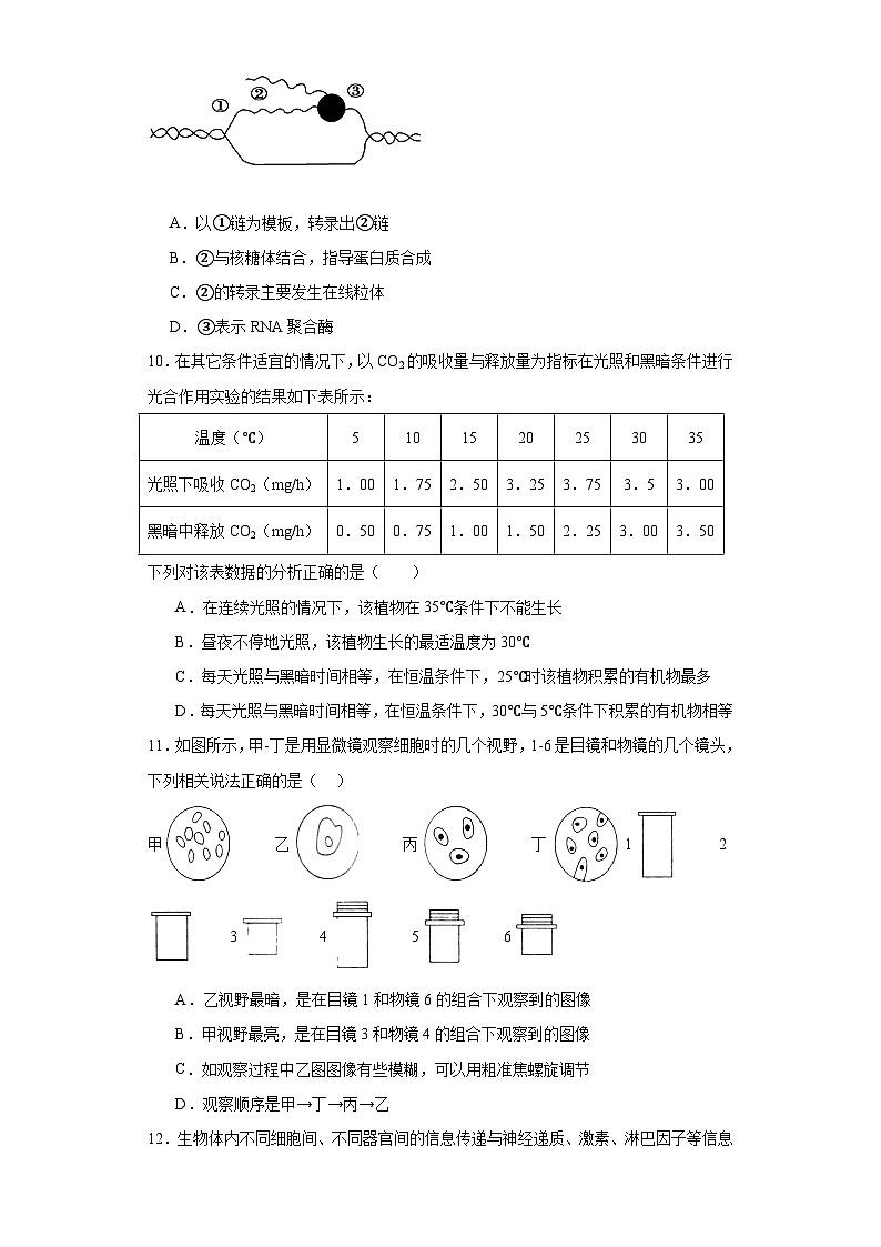 2023届江西省吉安市井冈山市宁冈中学高三一模生物试题（含解析）03