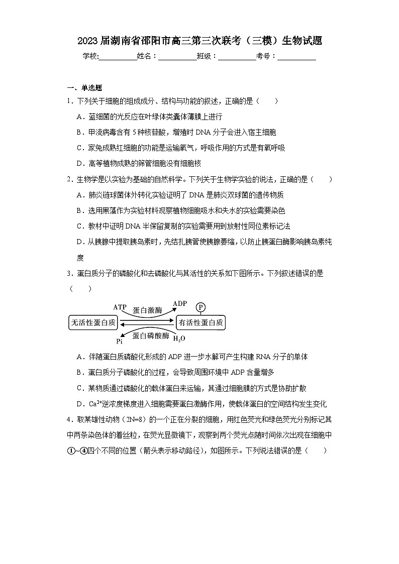 2023届湖南省邵阳市高三第三次联考（三模）生物试题（含解析）01