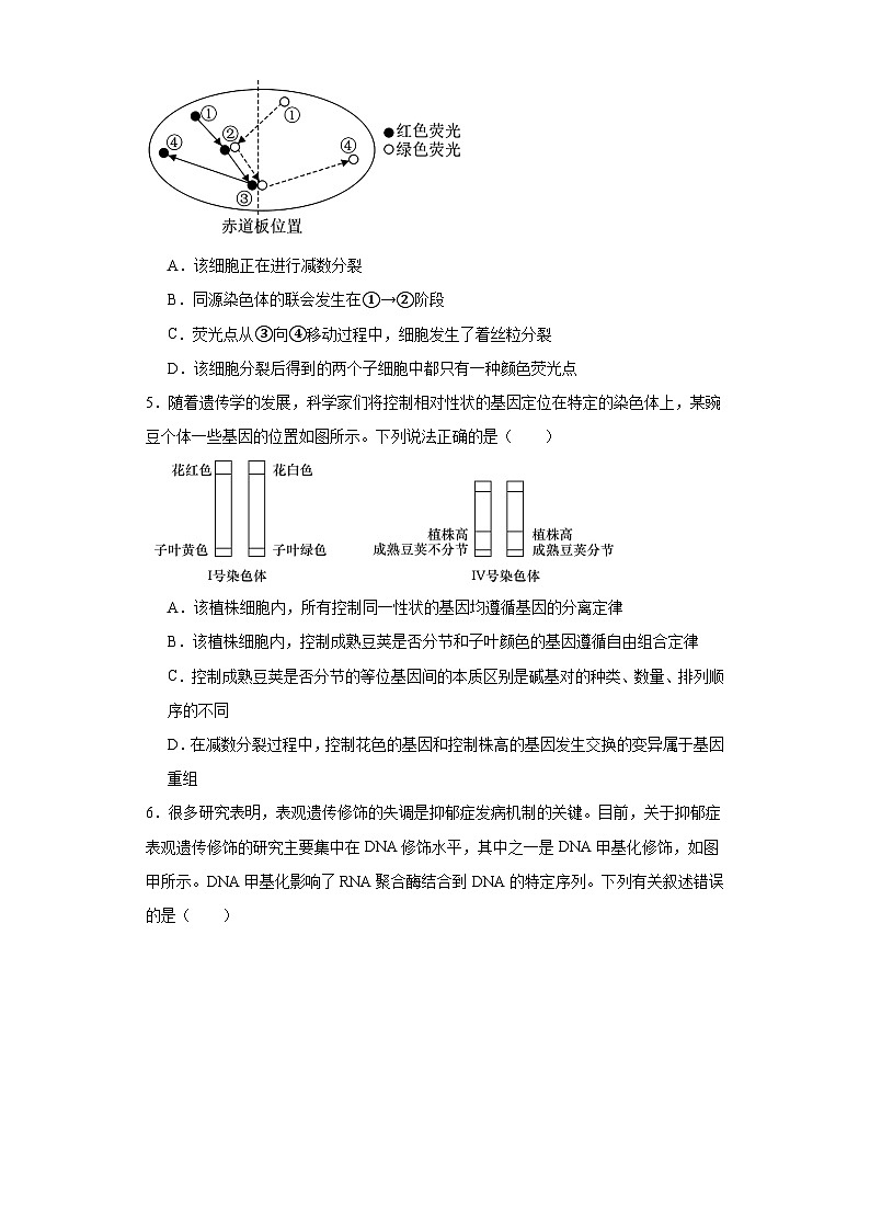 2023届湖南省邵阳市高三第三次联考（三模）生物试题（含解析）02