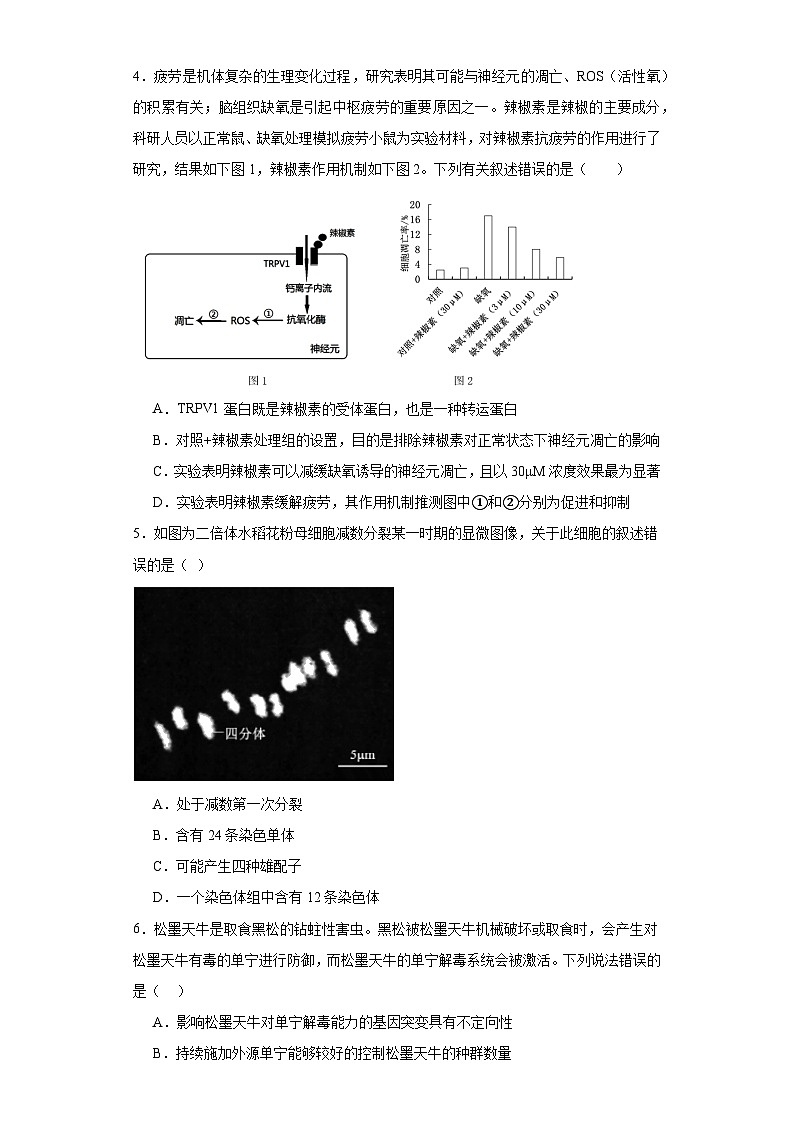 2023届辽宁省沈阳市一中高三第八次模拟考试生物试题（含解析）第2页