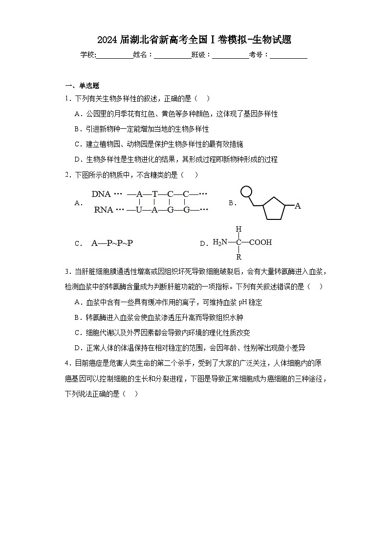 2024届湖北省新高考全国Ⅰ卷模拟-生物试题（含解析）第1页