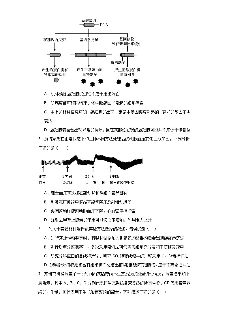 2024届湖北省新高考全国Ⅰ卷模拟-生物试题（含解析）第2页