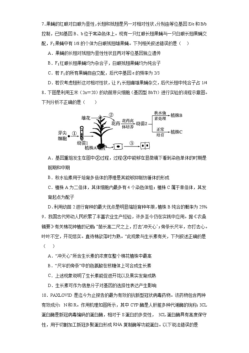 2023届河南省焦作市博爱县一中高三三模生物试题（含解析）第3页