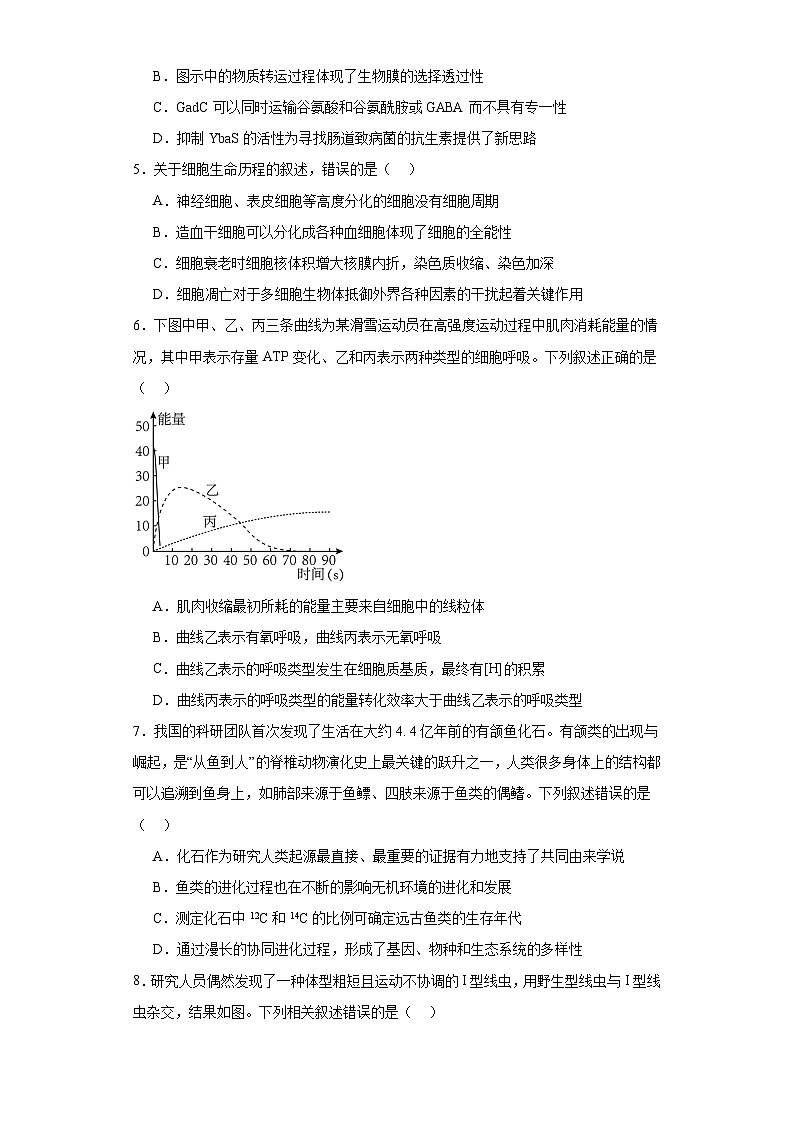 2023届河北省保定市高三二模生物试题（含解析）第2页