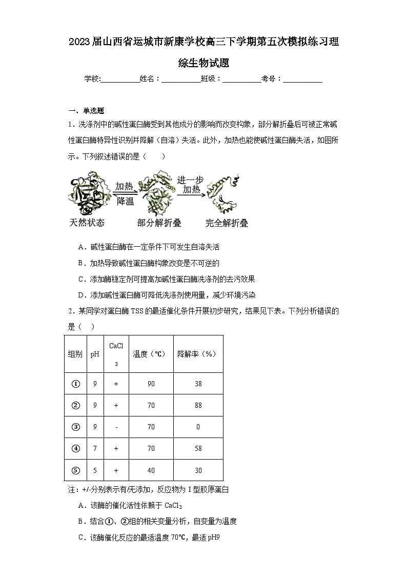 2023届山西省运城市新康学校高三下学期第五次模拟练习理综生物试题（含解析）第1页