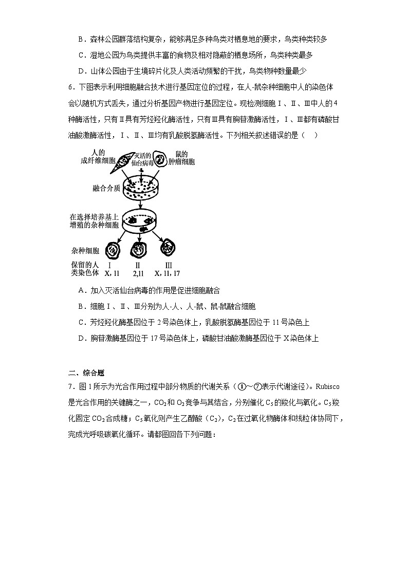 2023届山西省运城市新康学校高三下学期第五次模拟练习理综生物试题（含解析）第3页