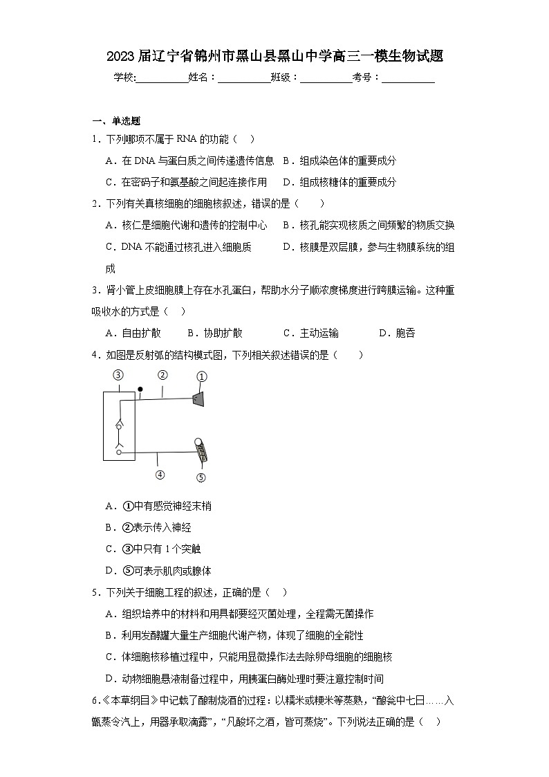 2023届辽宁省锦州市黑山县黑山中学高三一模生物试题（含解析）01