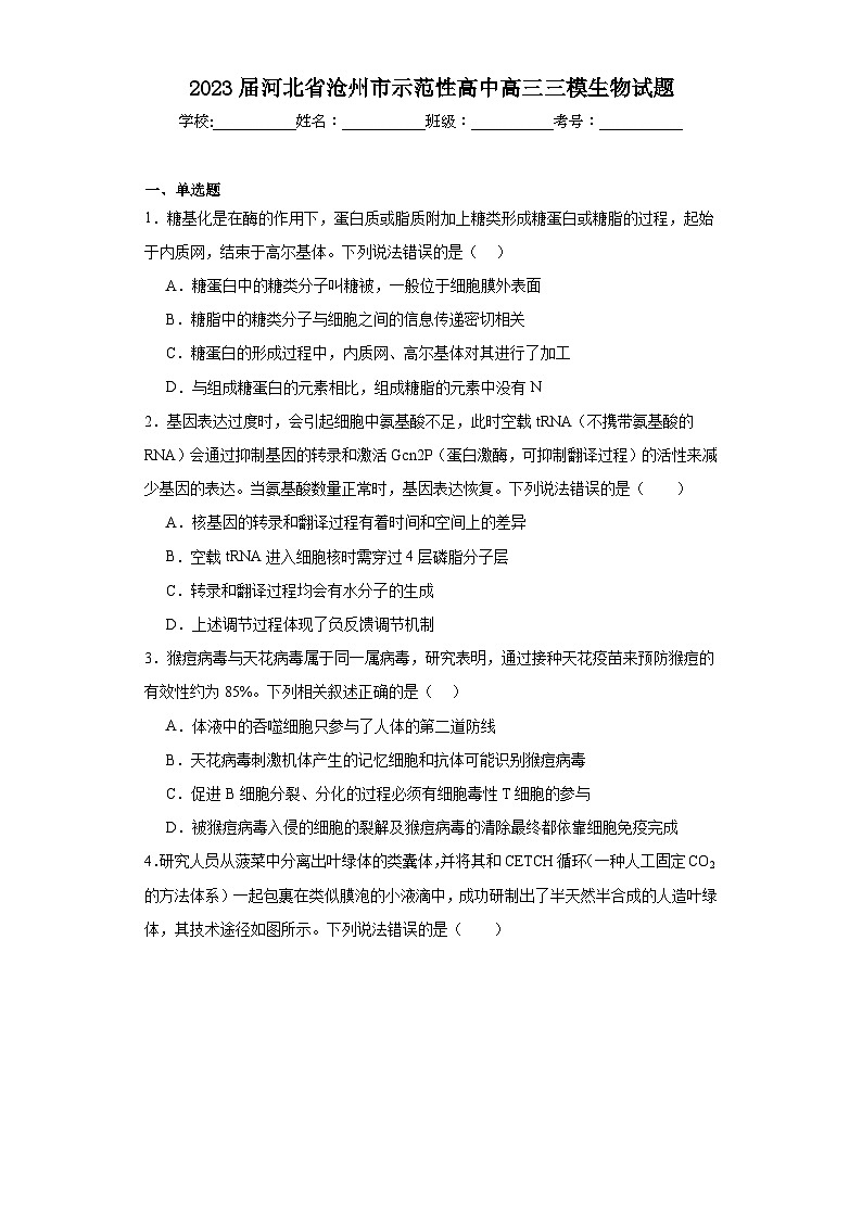 2023届河北省沧州市示范性高中高三三模生物试题（含解析）第1页