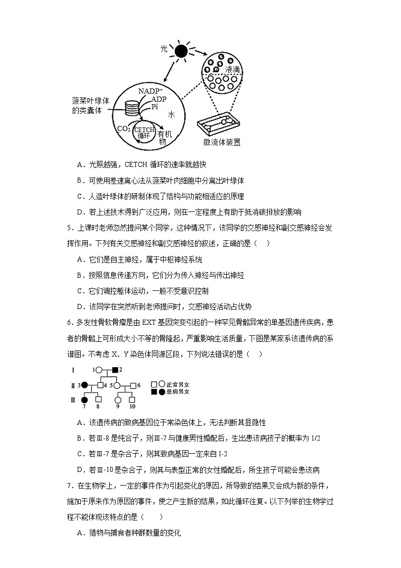 2023届河北省沧州市示范性高中高三三模生物试题（含解析）第2页