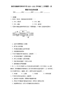 陕西省榆林市神木中学2020—2021学年高三上学期第一次模拟考试生物试题（含解析）