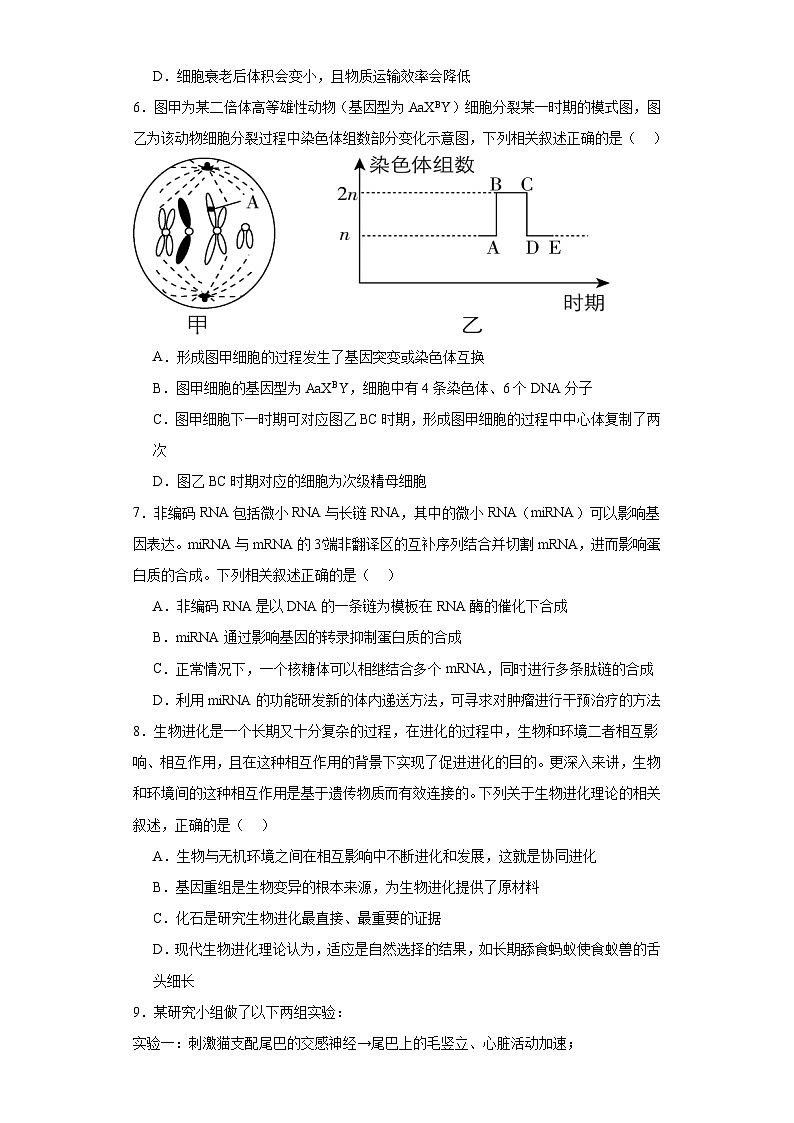 2023届河河北衡水中学高三一模生物试题（含解析）02