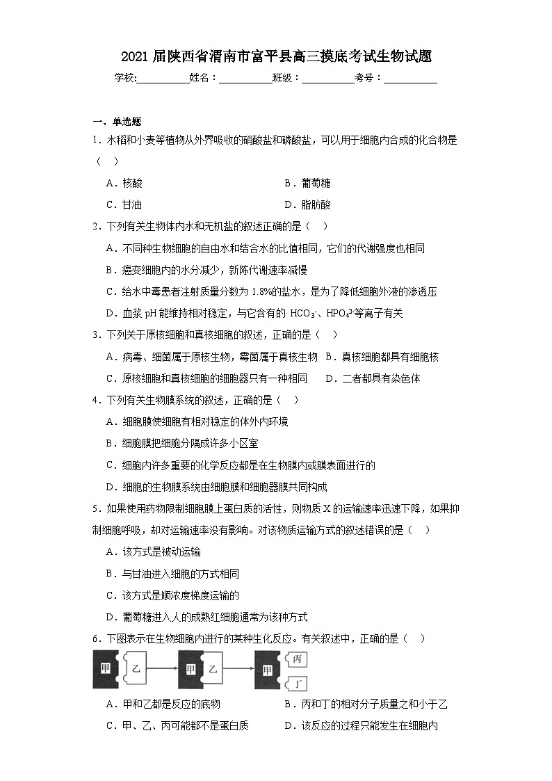 2021届陕西省渭南市富平县高三摸底考试生物试题（含解析）第1页