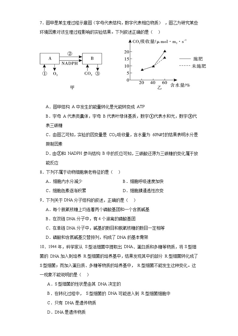 2021届陕西省渭南市富平县高三摸底考试生物试题（含解析）第2页